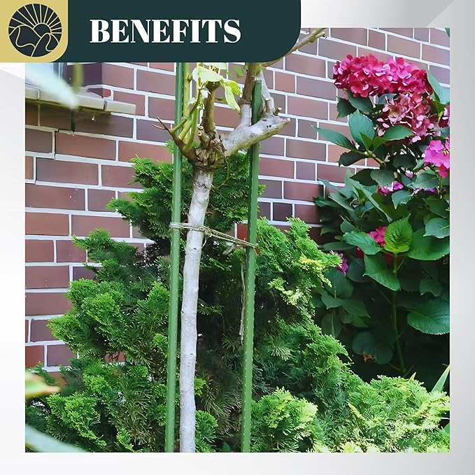Garden Stakes 40 Inch Pack of 30, Heavy Duty Plastic Coated Metal Plant Stakes, Plant Support Poles for Tomato, Flowers, Climbing Vines