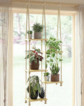GENTINGBRO Window Plant Shelves Macrame Plant Hanger Floating Shelves Window Sill Shelf for Plants Hanging Plant Stand Indoor Window Plant Holder Boho Decor Living Room Bedroom Wall Decor