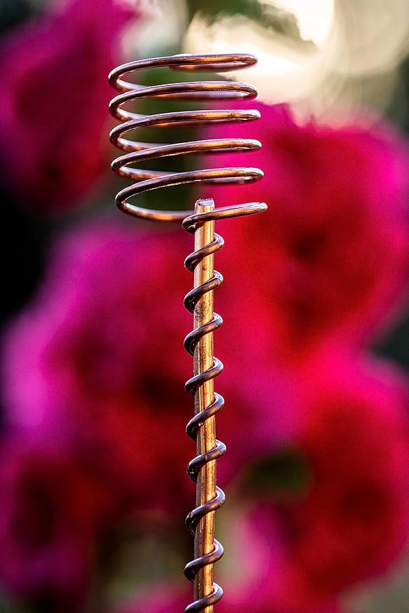 Electroculture Grows 24" Long Solid Copper Forever Stake Traditional Plant Stakes Pack of 5 - Wrapped with Pure Solid Copper Wire