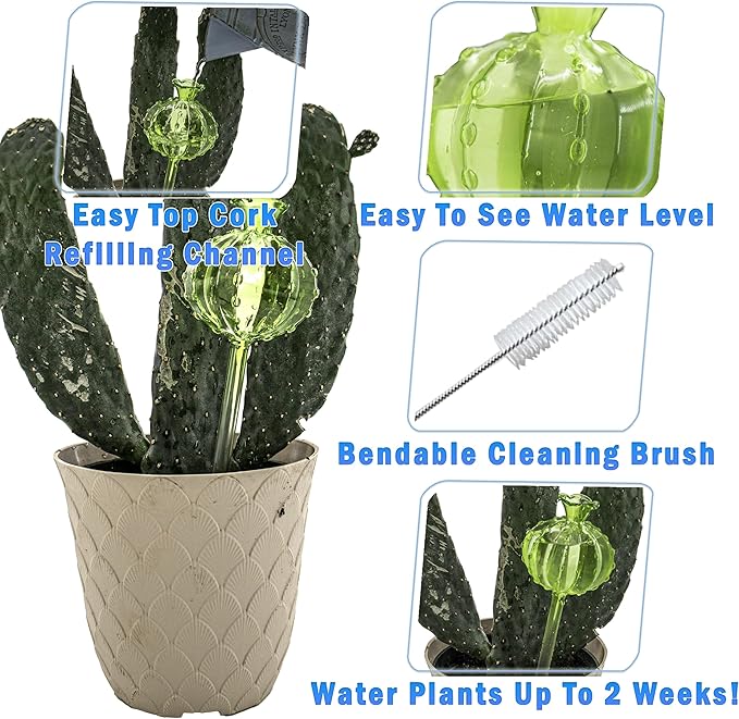 Aqua Glass Plant Watering Globes Automatic Self Watering Plant Insert Spike Orbs - Indoor Outdoor Plant Drip Irrigation - For Flowers, Herbs, Houseplants (Cactus Ball Globes, 4, Units)