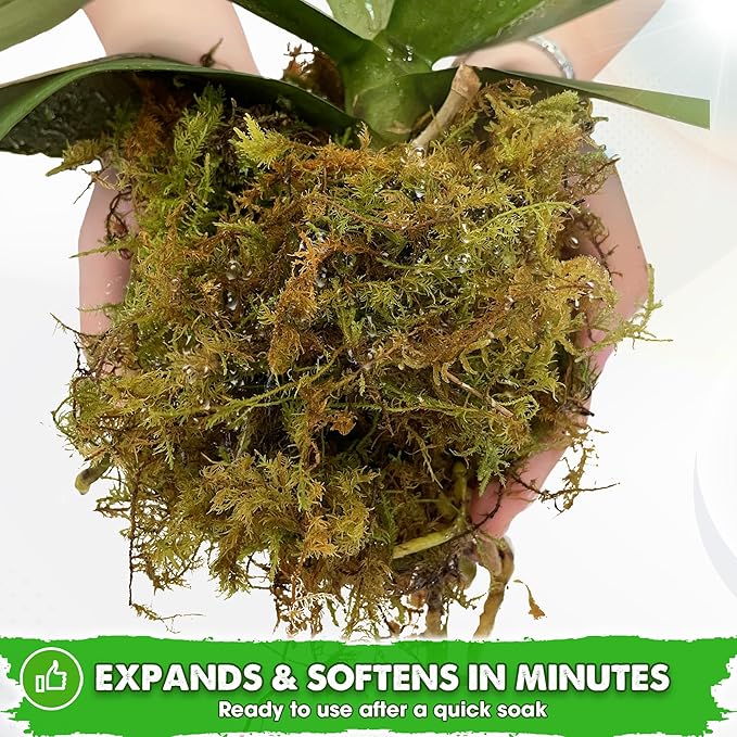 DUSPRO 2.1LBS Dried Moss for Potted Plants, Forest Orchid Moss for Potting Mix, Sphagnum Potting Moss for Plants Indoor, Real Moss Soil Cover for Houseplant