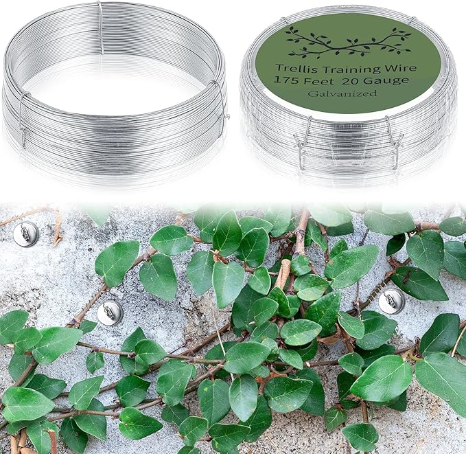 WILLBOND 350 Feet Plants Trellis Training Wire 2 Rolls Trellis Wire for Climbing Plants for Garden Fence