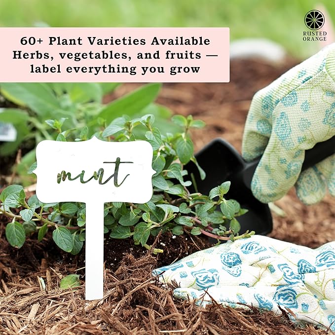 ROCC RUSTED ORANGE CRAFTWORKS CO. Window Garden Markers (5 Pack) – 60+ Varieties, Metal Plant Markers for Outdoor Use, Weather-Resistant Labels & Tag Stakes for Herbs, Vegetables & Flowers
