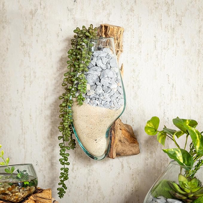 Cape Craftsmen Wall Mounted 12" Molten Glass Hanging Terrarium Kit on Natural Driftwood, Indoor Wall Planter Vase on Wood, Propagation Station for Hydroponics Plants, Succulent Pot