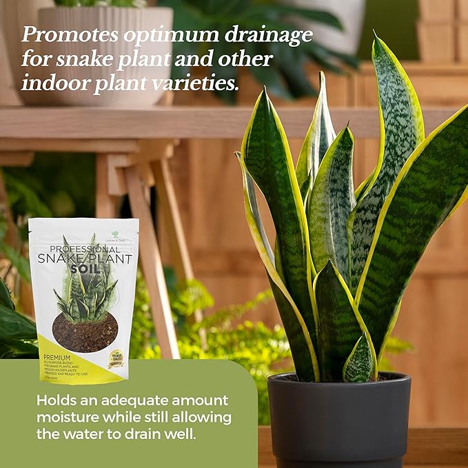 Professional Snake Plant Soil Large 2.2 Quarts Ready to Use, Premium Potting Soil for Snake Plants Dracaena Trifasciata, Fast Draining Indoor Soil with Peat Moss Coco Coir Perlite Dolomite Made in USA
