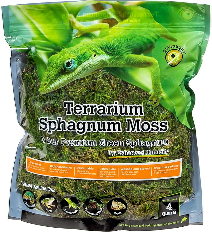 Galápagos (05213) Terrarium Green Sphagnum Moss, Natural, 4 Quart (Pack of 6)