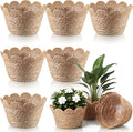 AceOrbit 6 Pcs Scalloped Seagrass Plant Basket with Plastic Liners Rattan Woven Plant Basket Wicker Planter for Indoor Outdoor Flower Pots Cover and Rustic Farmhouse Boho Room Decor (Medium)