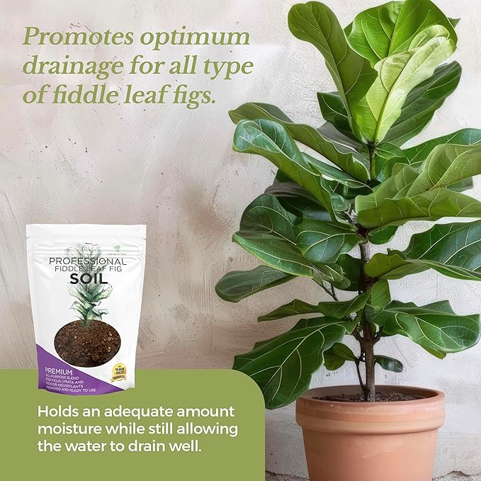 Professional Fiddle Leaf Fig Soil Mix Large 2.2 Quarts Ready to Use, Premium Potting Soil for Fiddle Leaf Fig Indoor Houseplants, Fast Draining Blend Peat Sawdust Coarse Sand Pinebark Made in USA