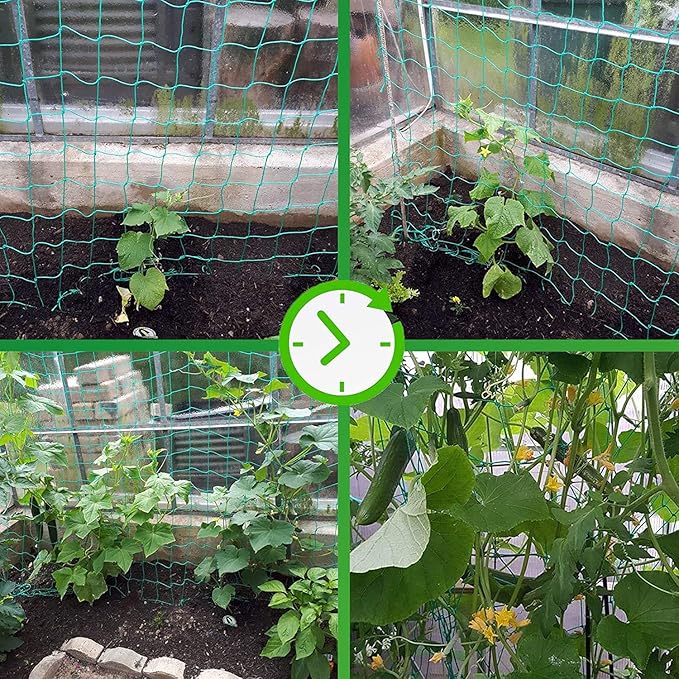 Trellis Netting for Climbing Plants - Heavy Duty Garden Trellis Netting for Cucumber, Vine, Fruits & Vegetables Tomato Plants Trellis Net, Climbing Vining Plants (1-Pack 8.2' x 6.6'Ft)