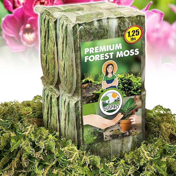 DUSPRO 1.25LBS Dried Moss for Potted Plants, Forest Orchid Moss for Potting Mix, Sphagnum Potting Moss for Plants Indoor, Real Moss Soil Cover for Houseplant