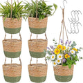 6 Pcs Seagrass Hanging Planter Basket Hand Woven Plant Basket with Plastic Liners Hanging Plant Holder Storage Containers with Cotton Rope for Indoor Garden Decor (Small,Brown,Green)
