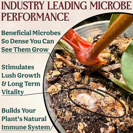 Complete Organic Cactus & Succulent Fertilizer, Succulent Plant Food & Cactus Food, Bonsai, Snake Plant Fertilizer, 11 Servings Fast & Slow Release Feeds up to 44 Plants 8 Months