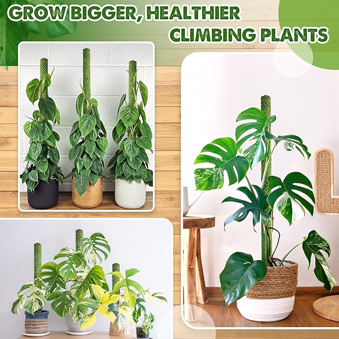 DUSPRO Bulk Pack 10Pcs 22'' Green Stackable Mesh Moss Pole for Plants, Extendable Plant Pole, Natural Forest Moss Pole Monstera Plant Support, Moss Stick for Climbing Plants, Indoor Plant Stakes