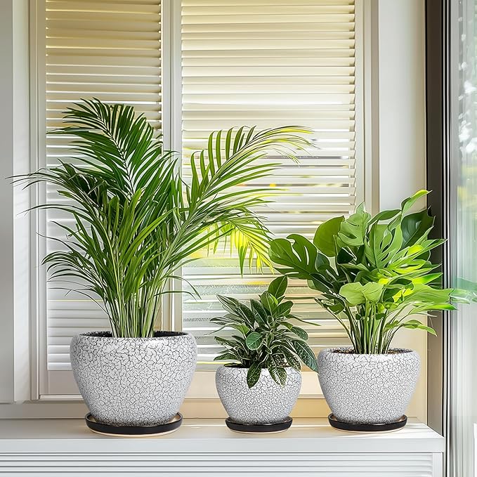 Ceramic Plant Pots Set of 3, 10+8+6 Inch Modern Round Flower Planters with Drainage Holes and Plant Saucers for Indoor Outdoor, Home Garden Room Porch Decor, Plant Lover Gifts, White-Black