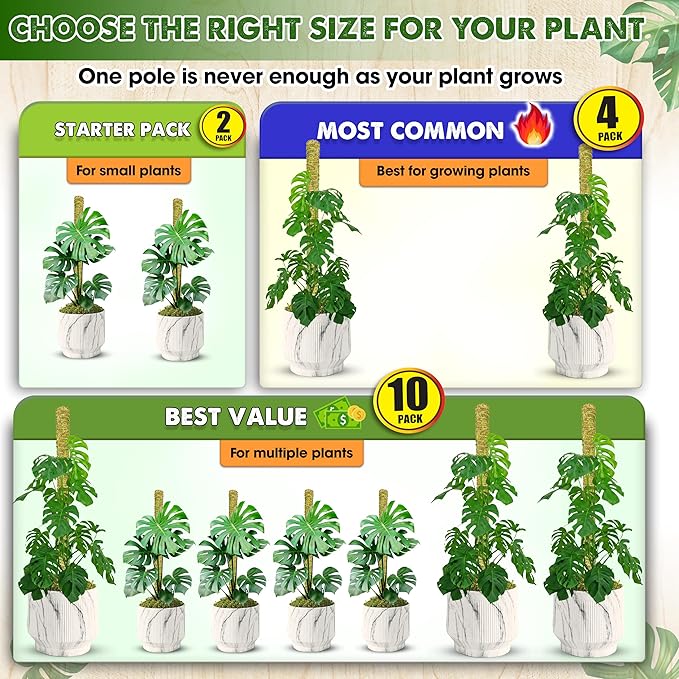 DUSPRO Natural Stackable Moss Pole for Plants Monstera Potted Plant Stakes for Indoor Plants Extendable Plant Pole Moss Sticks for Plants Climbing Vine Supporting Monstera Trellis 10Pcs 22''