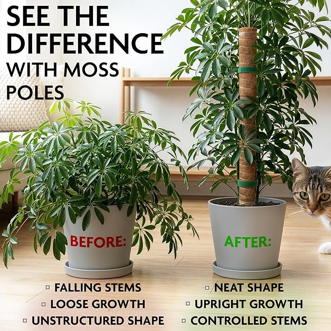 2 Pcs Small Moss Pole Monstera Plant Support Set - 15.75" Pothos Plant Climber Support with Connectable Design, Fixation Strip, Coconut Fiber Moss Poles for Monstera Plants, Money Plants, Philodendron