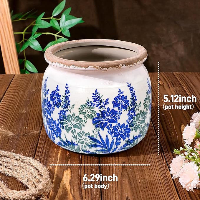Dosayes Flower Pot,Vintage Ceramic Pot for Planter with Drainage Holes, 6.29 inch Ice Crack Glazed Small Planters Pot for Indoor,Tucan Home Decor,Gardening Gifts (Art Deco)