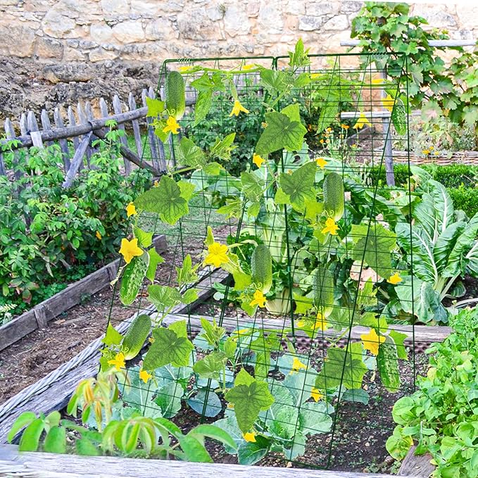 48" H x 34" L Cucumber Trellis for Garden A Frame, Garden Trellis for Climbing Plants Outdoor for Raised Bed(1 Packs)