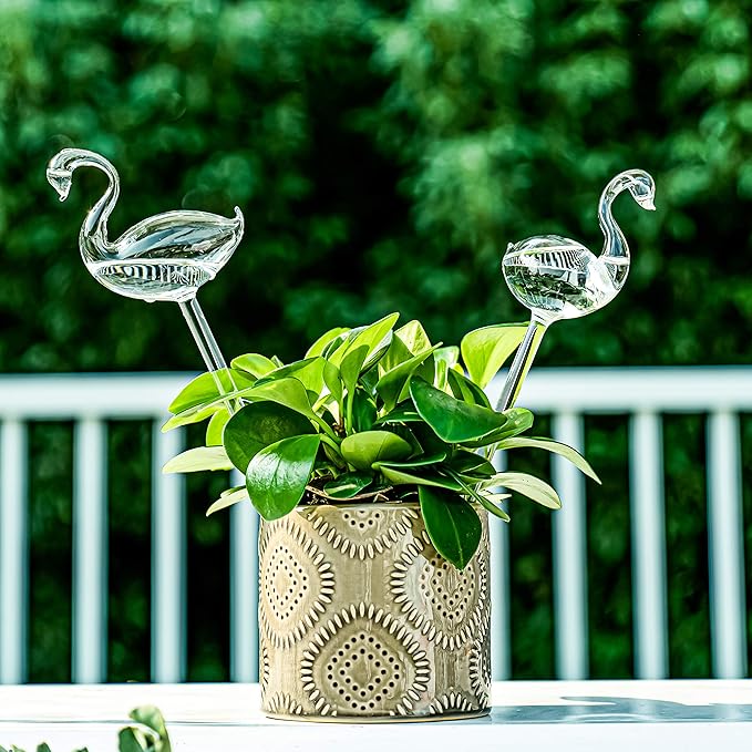 Kingbuy Self Watering Globes Plant Waterer Device Swan Shape Hand Blown Clear Glass Bulb for Indoor Outdoor Plants, 2 Pack