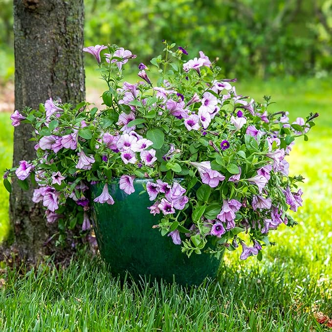 Sunnydaze Large Ceramic Plant Pot - Round Outdoor Glazed Ceramic Planter Pot with Drainage - Resort - Dark Green - 14.5"