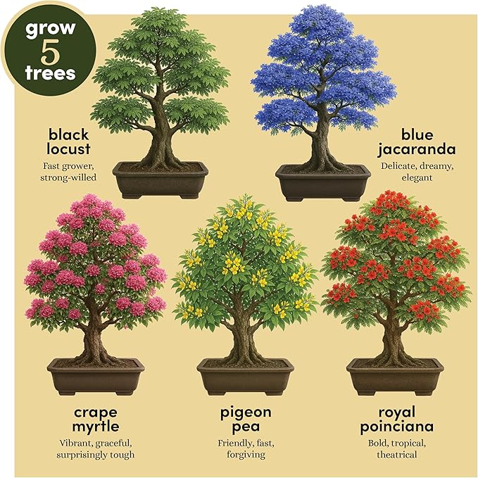Planter's Choice Bonsai Tree Starter Kit - Mothers Day Gifts for Women, Men - Birthday Gifts for Adults - Indoor Live House Plants - DIY for Adults Craft Kits - Unique Hobby Gift Gardening Lovers