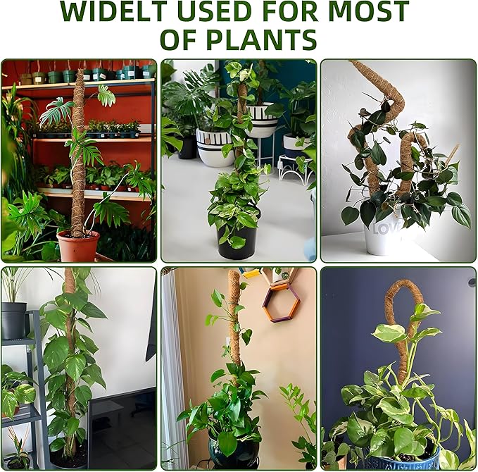 2-Pack 48'' Bendable Moss Poles for Monstera & Climbing Plants – Flexible Trellis Plant Support Stakes with Accessories – Indoor & Outdoor Use
