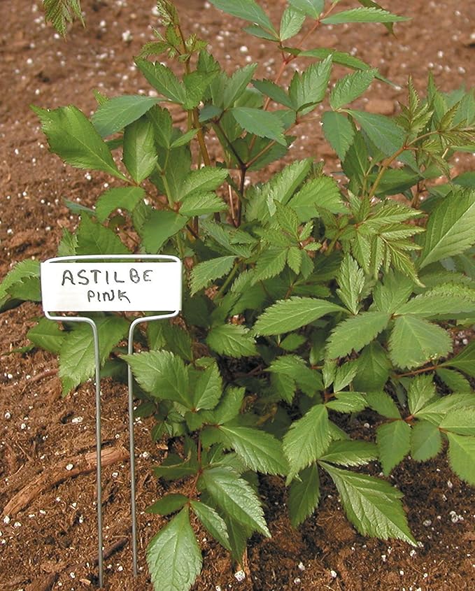 Luster Leaf Classic Impressions 10-Inch Zinc Garden Plant Label - 10 Pack 782, 10” Zinc Labels, 10pk