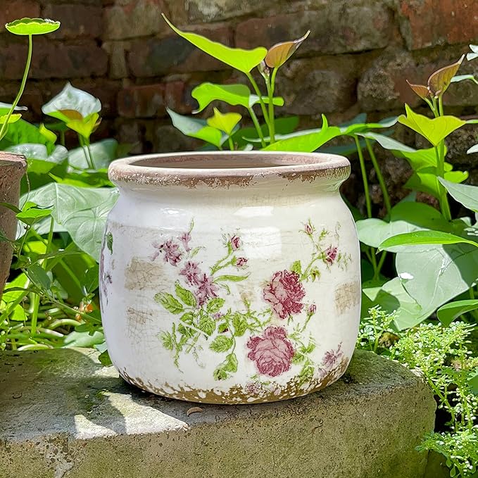 Dosayes Flower Pot,Vintage Ceramic Pot for Planter with Drainage Holes, 6.29 inch Ice Crack Glazed Indoor Planters Pot for Indoor,Tuscan Home Decor,Gardening Gifts (Garden)