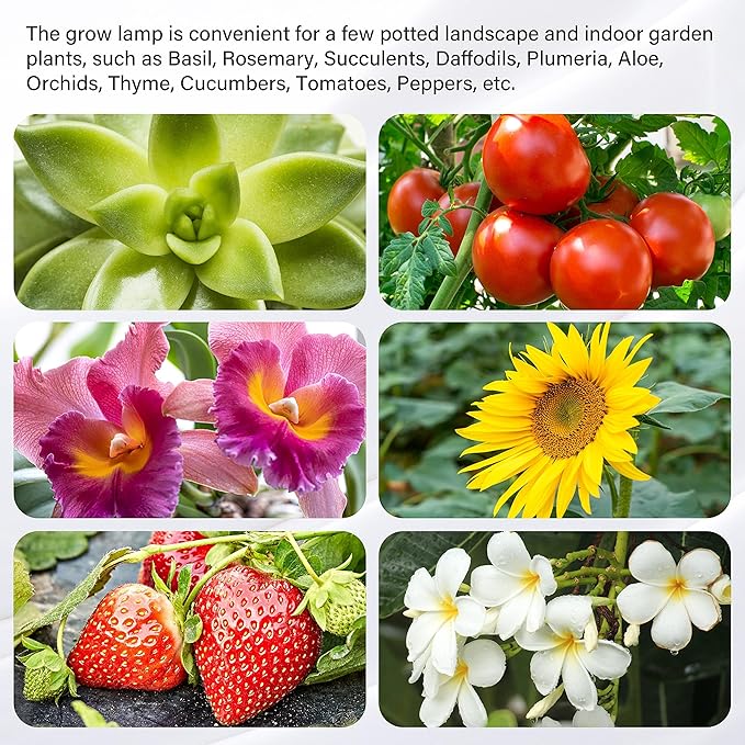 iPower 60W LED Grow Lights with Full Spectrum Plant Growing Light Strips for Indoor Plant with Auto ON/Off 3/9/12H Timer, 10 Dimmable Levels 48 LEDs Per Tude, 4 Tubes, Red&Blue