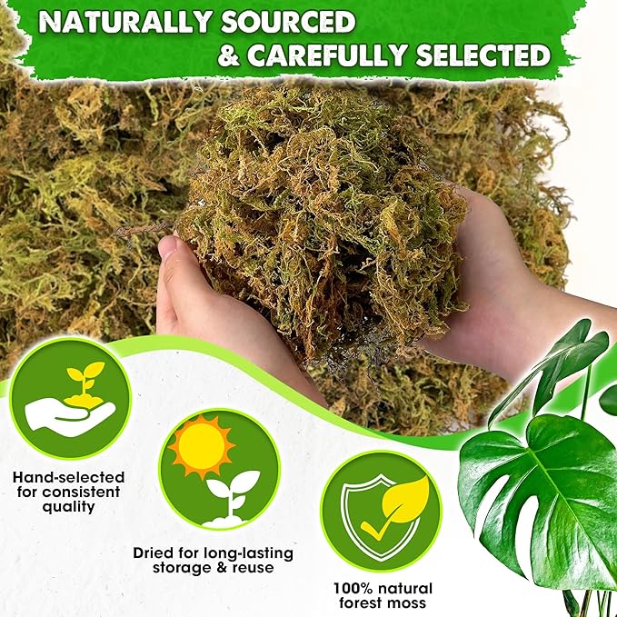 DUSPRO 5 LBS Big Bag Dried Forest Moss for Plant Propagation Sphagnum Moss Bulk for Orchid Repotting Mix Organic Soil Medium Bale Premium Hand Selected