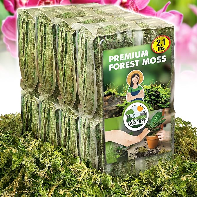 DUSPRO 2.1LBS Dried Moss for Potted Plants, Forest Orchid Moss for Potting Mix, Sphagnum Potting Moss for Plants Indoor, Real Moss Soil Cover for Houseplant