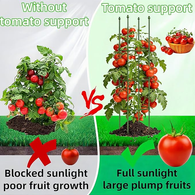 2 Pack Heavy Duty Tomato Cages for Garden, 55.1Inch Tall Adjustable Metal Tomato Plant Support for Pots, Round Trellis for Climbing Plants Outdoor, Vegetable, Cucumber, Beans(11.8" Wide)