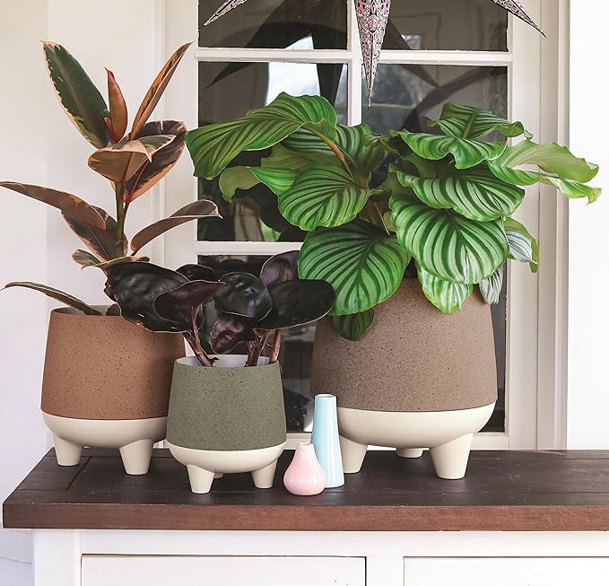 The HC Companies 6 Inch Orion Self Watering Planter - Lightweight Indoor Plastic Plant Pot for Herbs and Flowers, Greige
