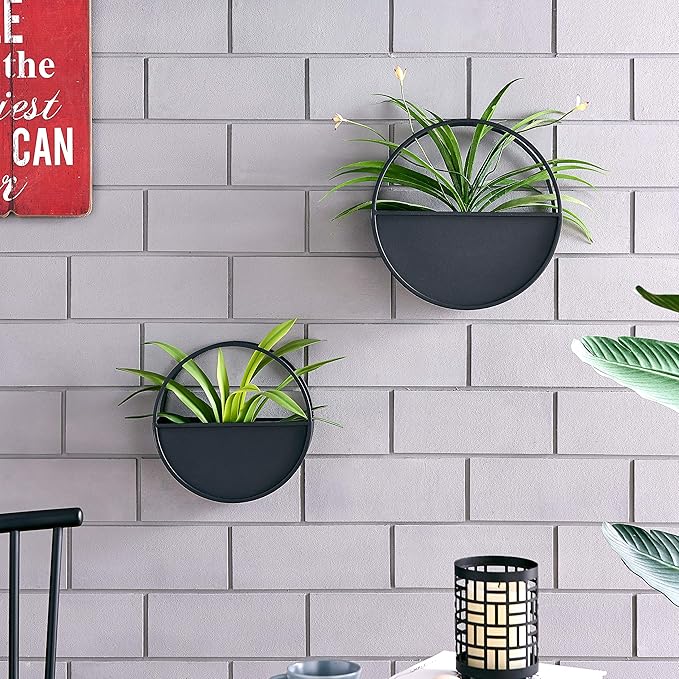 Danya B Round 2-Piece Iron Wall Planter Set Black - for Succulent, Mini Cactus, Air, & Faux Plants